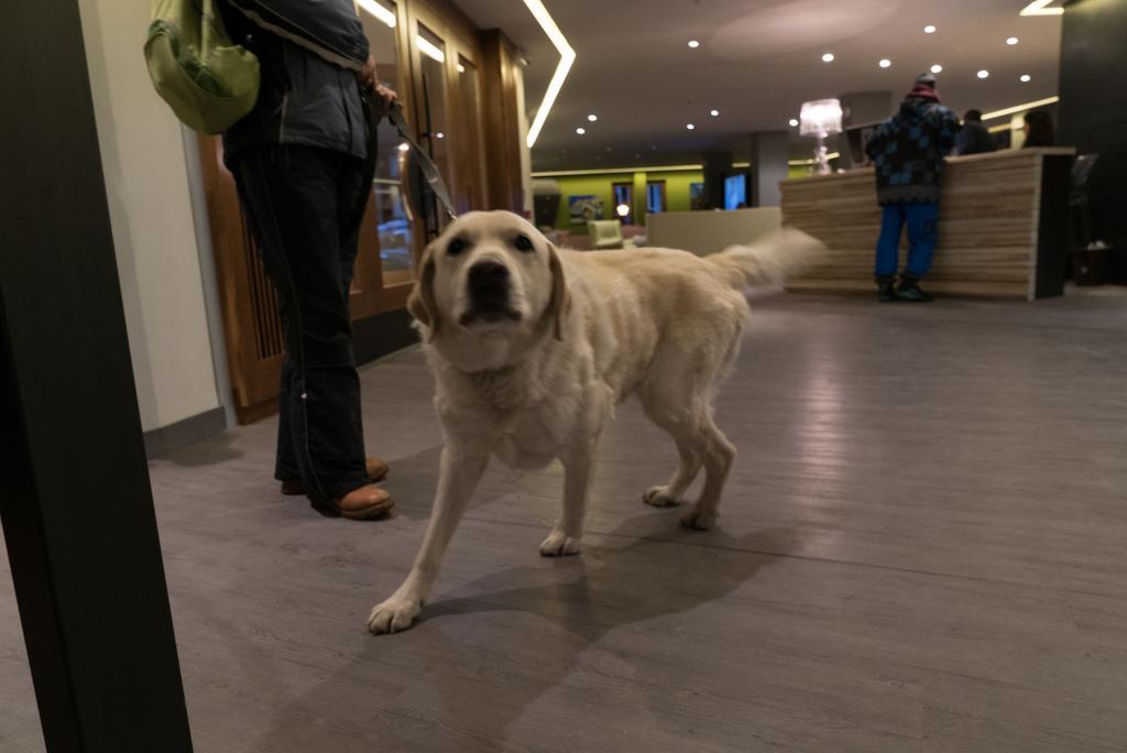 Hotel Europa Breuil-Cervinia Esterno foto